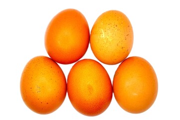 Яйцо куриное С1 1дес Россия