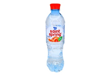 Святой источник Вода 0,5л Россия (персик)